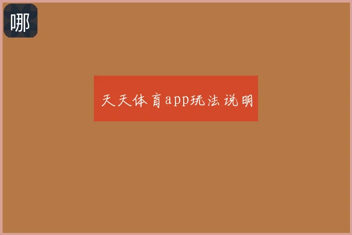 天天体育app玩法说明